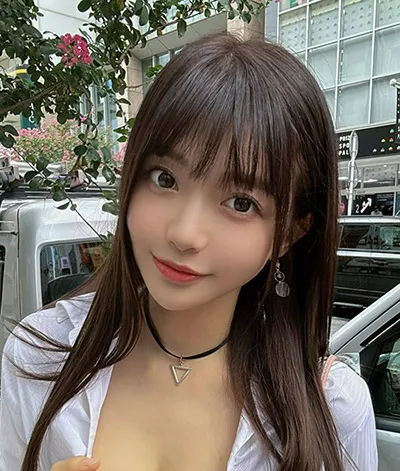雾港迷案 悬疑推理电视剧全集